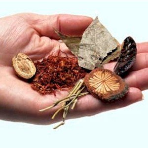 using traditional Chinese herbs to cure illness