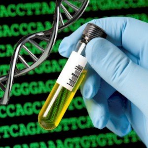the science that is DNA testing