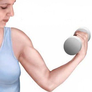building muscle mass when growing older