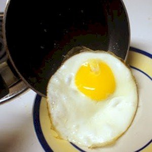 toxins are like your brain on drugs in a frying pan