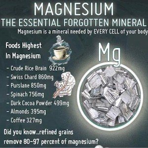 why taking magnesium is important